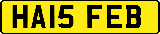 HA15FEB