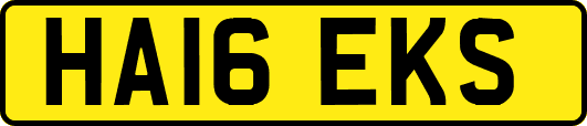 HA16EKS