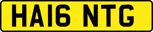 HA16NTG