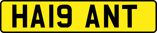 HA19ANT