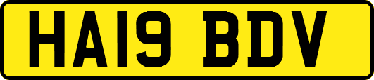 HA19BDV