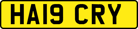 HA19CRY