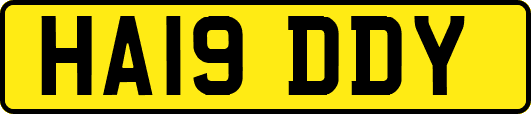 HA19DDY