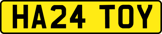 HA24TOY