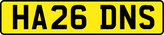 HA26DNS