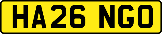 HA26NGO