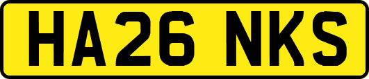 HA26NKS