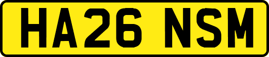 HA26NSM