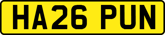 HA26PUN