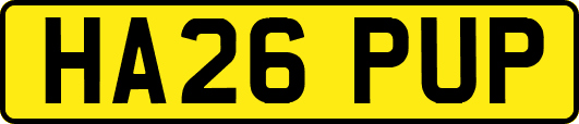 HA26PUP