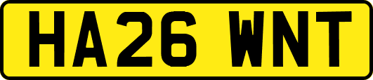 HA26WNT