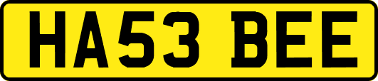 HA53BEE