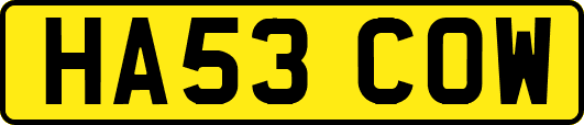 HA53COW