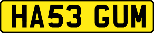HA53GUM