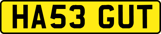 HA53GUT