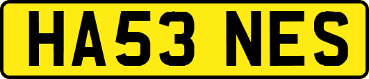 HA53NES