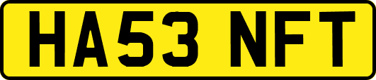 HA53NFT