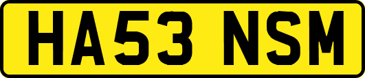 HA53NSM