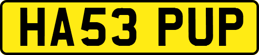 HA53PUP