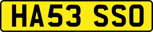 HA53SSO