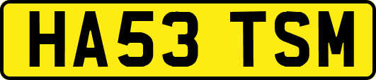 HA53TSM