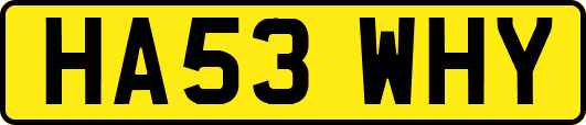 HA53WHY
