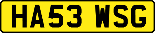 HA53WSG