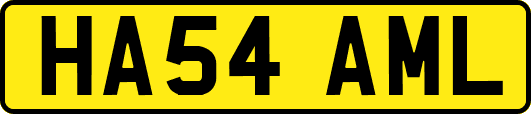 HA54AML