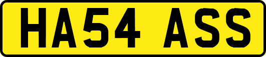HA54ASS