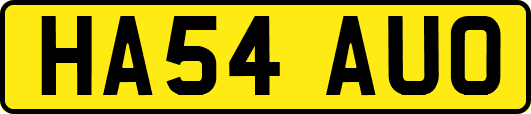 HA54AUO
