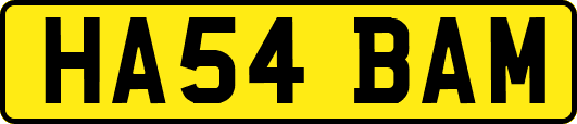 HA54BAM