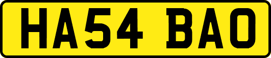 HA54BAO