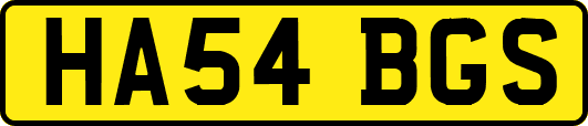 HA54BGS