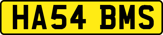 HA54BMS