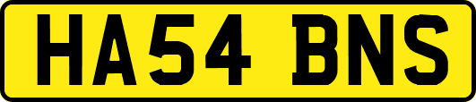 HA54BNS