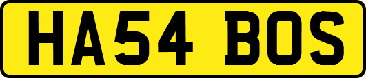 HA54BOS
