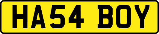 HA54BOY