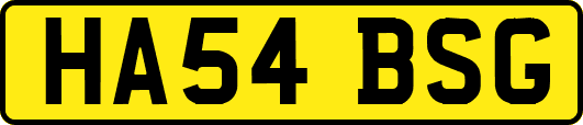 HA54BSG