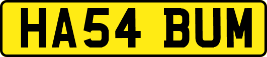 HA54BUM