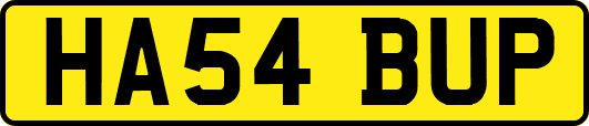 HA54BUP