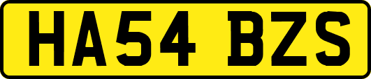 HA54BZS