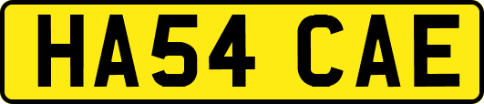 HA54CAE