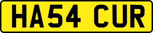 HA54CUR