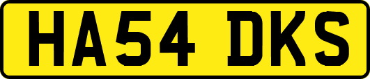 HA54DKS