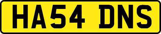 HA54DNS