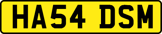 HA54DSM