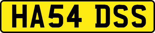 HA54DSS