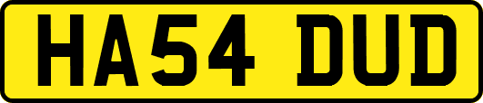 HA54DUD