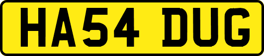 HA54DUG