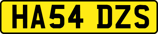 HA54DZS